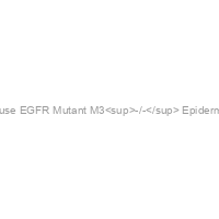 Immortalized Mouse EGFR Mutant M3<sup>-/-</sup> Epidermal Keratinocytes
